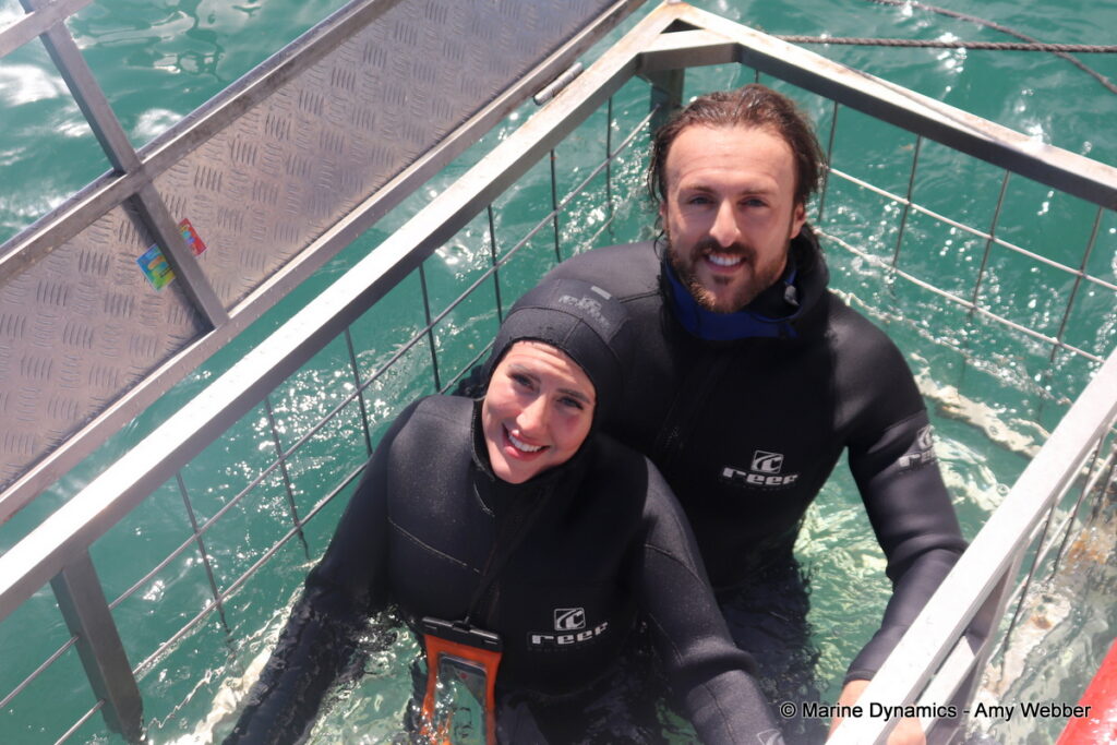 Shark cage diving, Gansbaai, South Africa