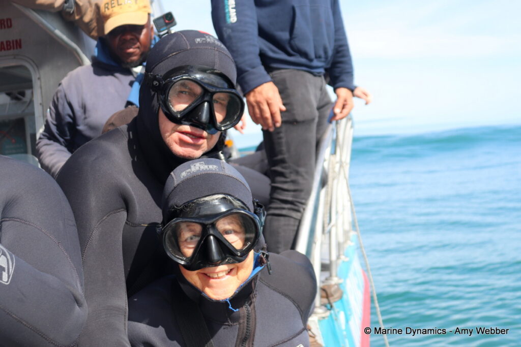Shark cage diving, Gansbaai, South Africa