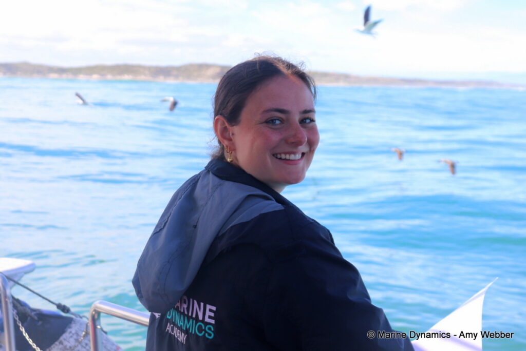 Shark cage diving, Gansbaai, South Africa