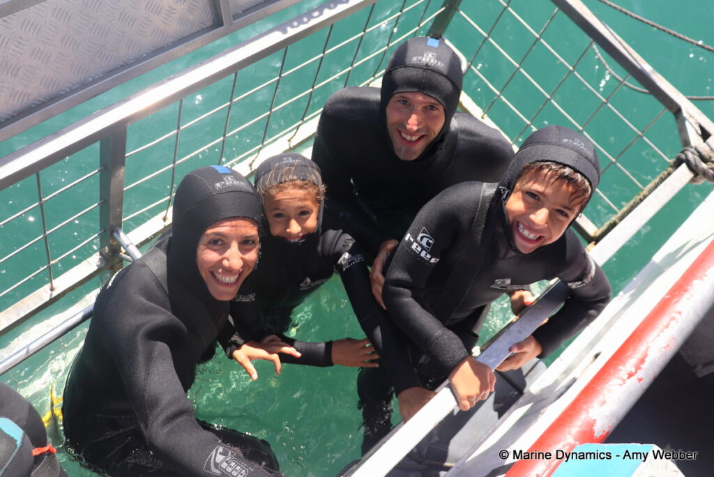Shark cage diving, Gansbaai, South Africa