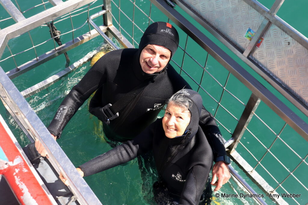 Shark cage diving, Gansbaai, South Africa