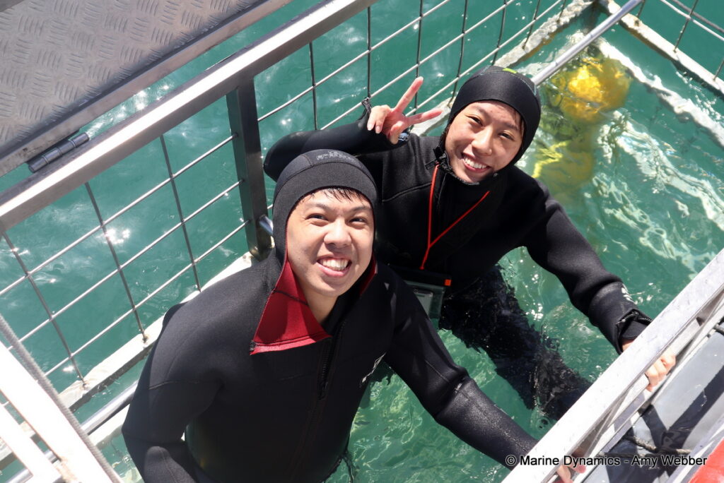 Shark cage diving, Gansbaai, South Africa