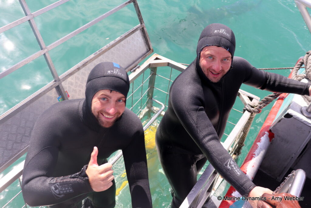 Shark cage diving, Gansbaai, South Africa