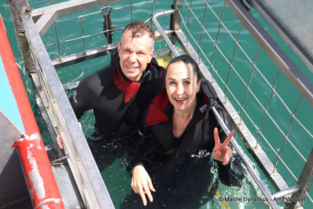 Shark cage diving, Gansbaai, South Africa