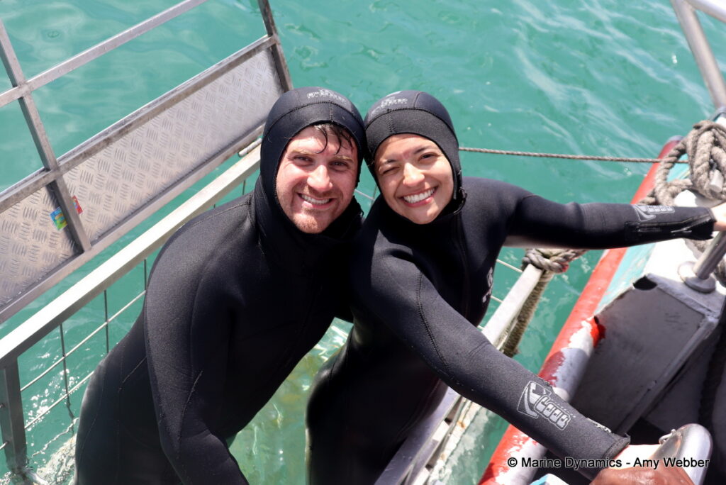 Shark cage diving, Gansbaai, South Africa