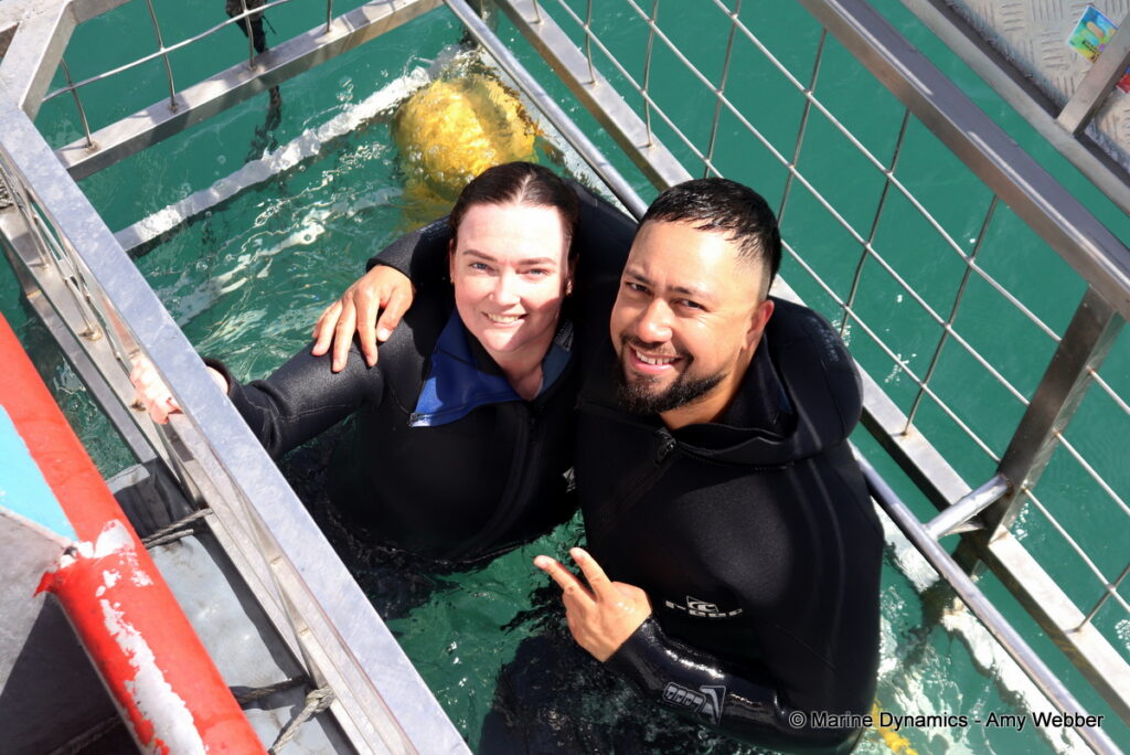 Shark cage diving, Gansbaai, South Africa