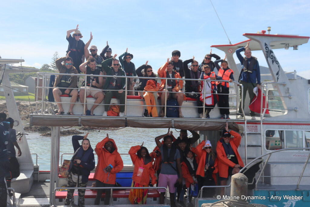Shark cage diving, Gansbaai, South Africa