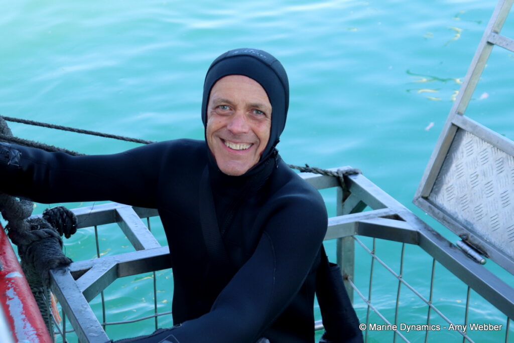 Shark cage diving, Gansbaai, South Africa