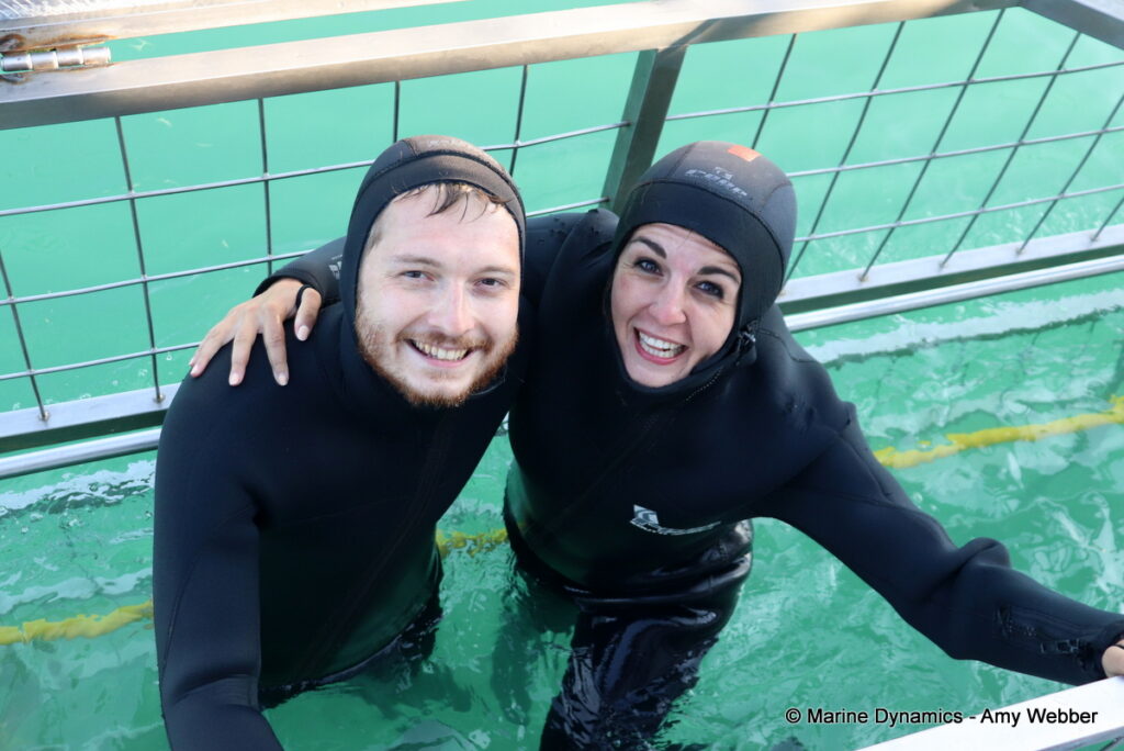 Shark cage diving, Gansbaai, South Africa