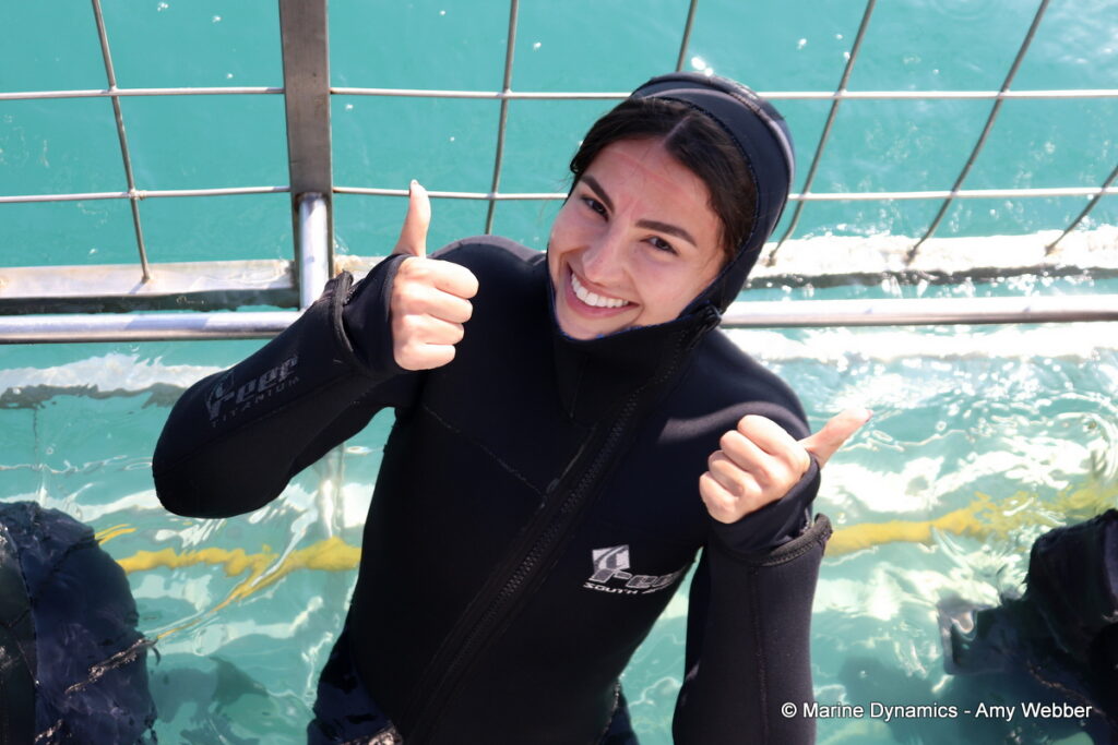 Shark cage diving, Gansbaai, South Africa