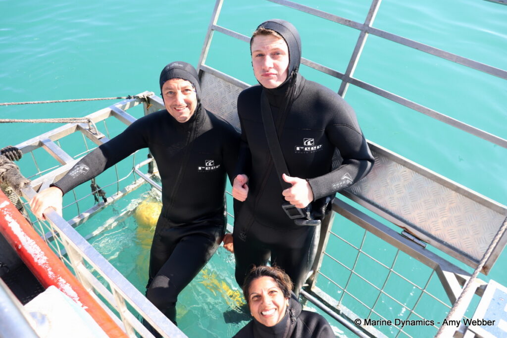 Shark cage diving, Gansbaai, South Africa