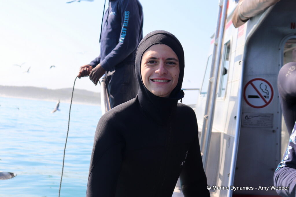 Shark cage diving, Gansbaai, South Africa