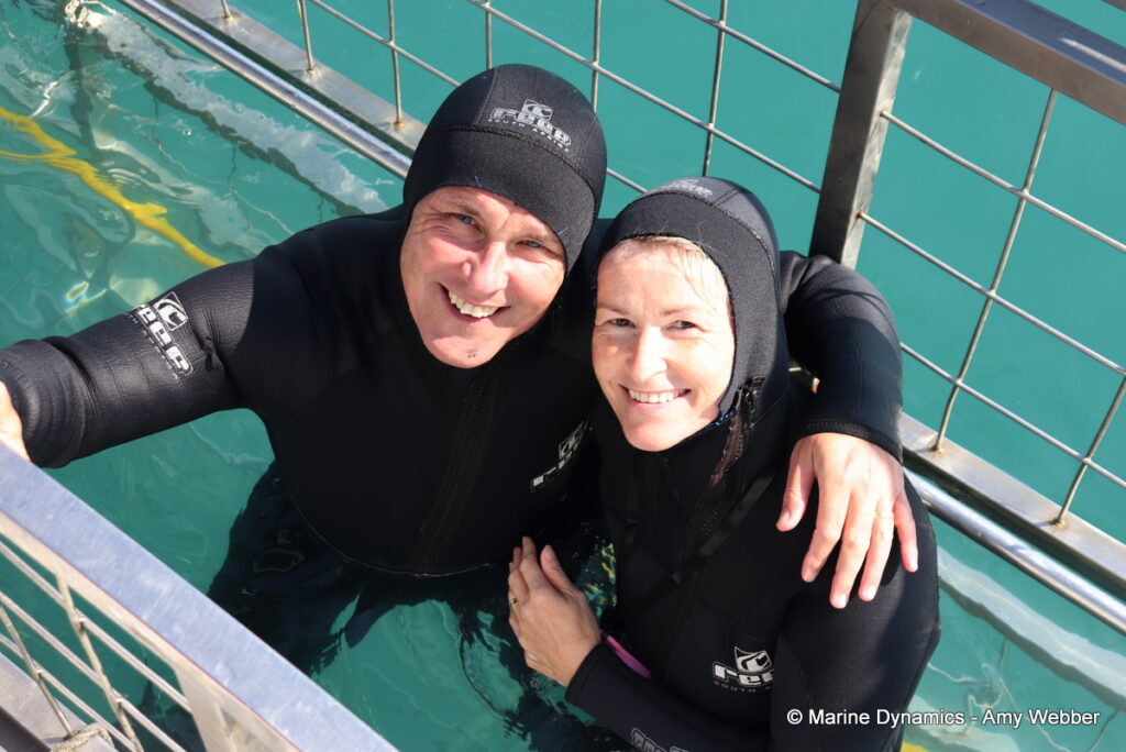 Shark cage diving, Gansbaai, South Africa