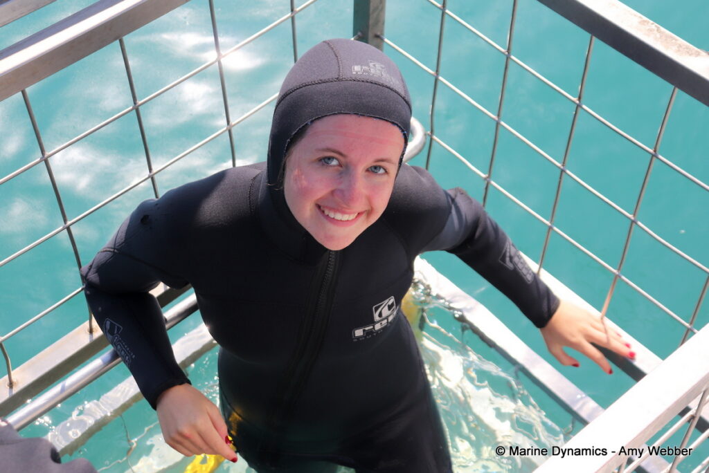 Shark cage diving, Gansbaai, South Africa