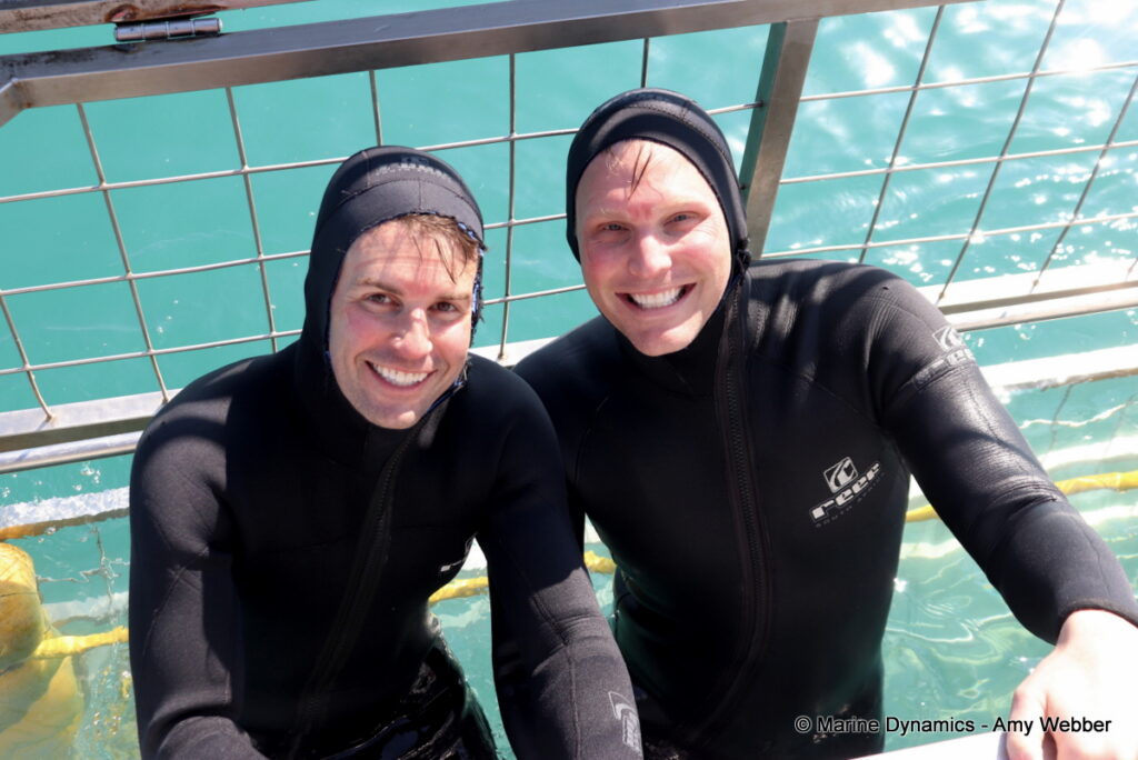 Shark cage diving, Gansbaai, South Africa