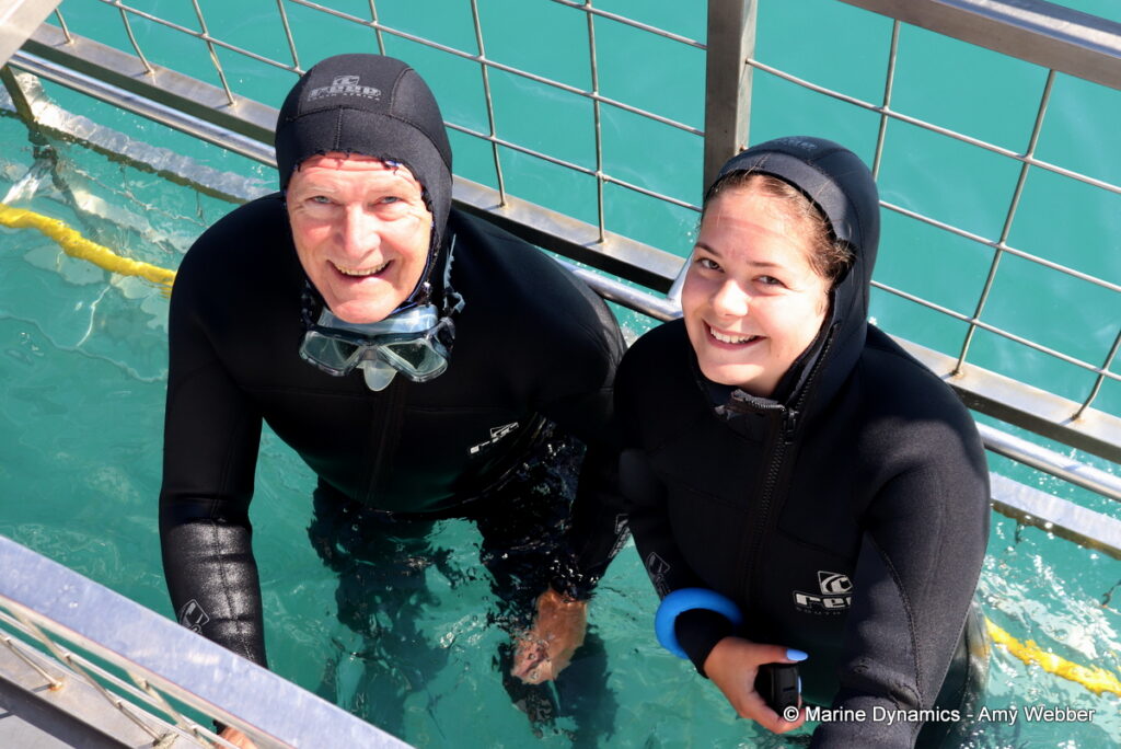 Shark cage diving, Gansbaai, South Africa