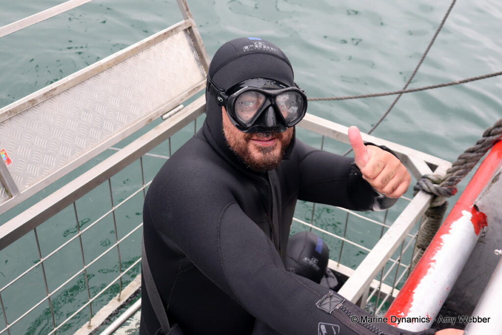 Shark cage diving, Gansbaai, South Africa
