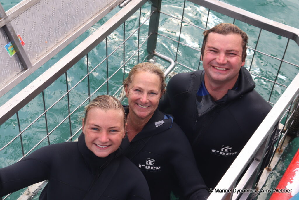 Shark cage diving, Gansbaai, South Africa