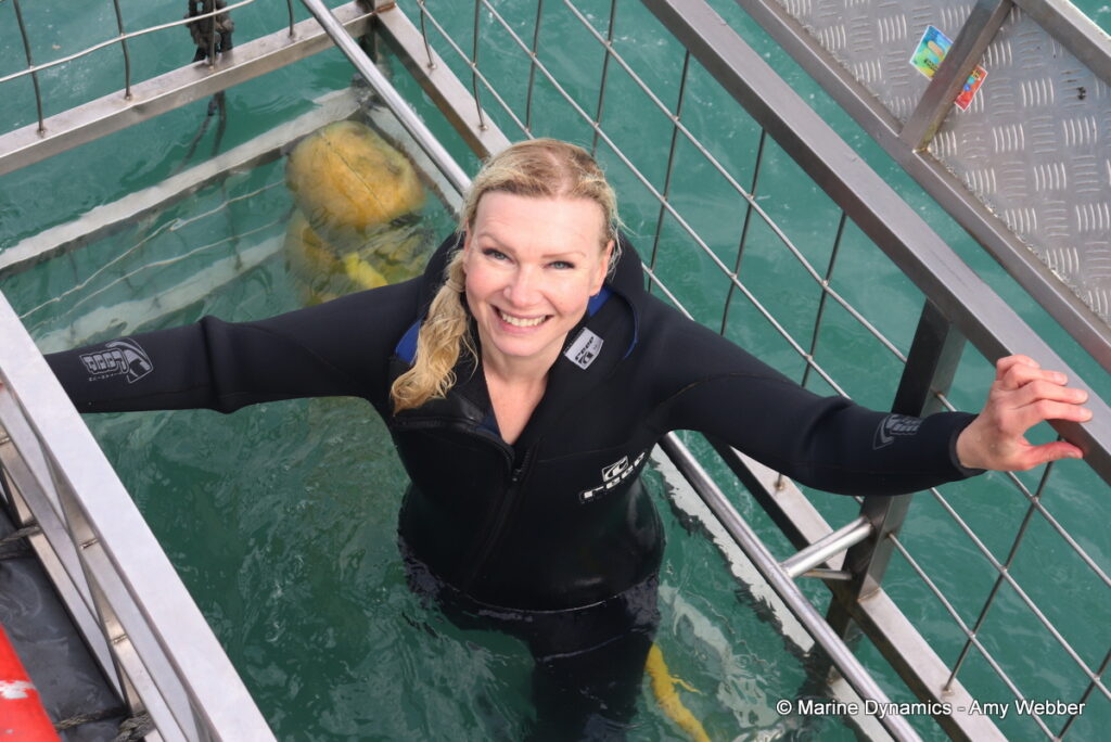 Shark cage diving, Gansbaai, South Africa