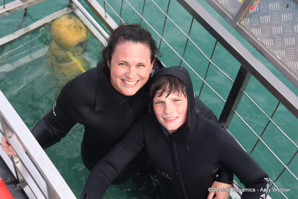 Shark cage diving, Gansbaai, South Africa