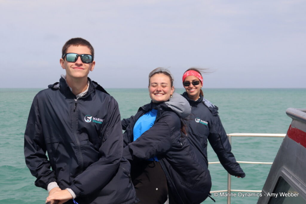 Shark cage diving, Gansbaai, South Africa