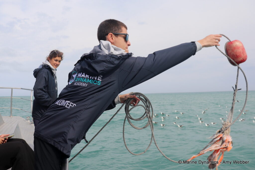 Shark cage diving, Gansbaai, South Africa