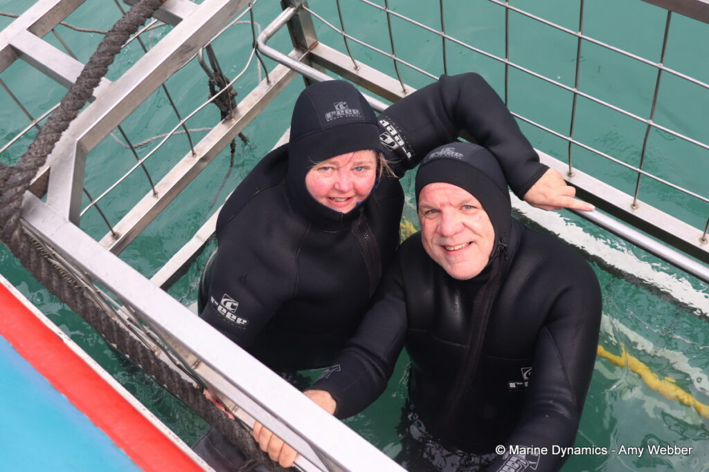 Shark cage diving, Gansbaai, South Africa