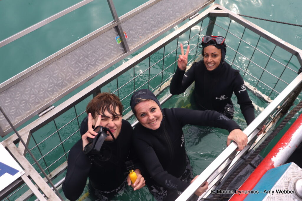 Shark cage diving, Gansbaai, South Africa