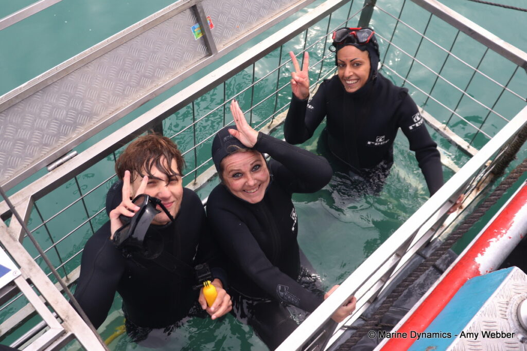 Shark cage diving, Gansbaai, South Africa