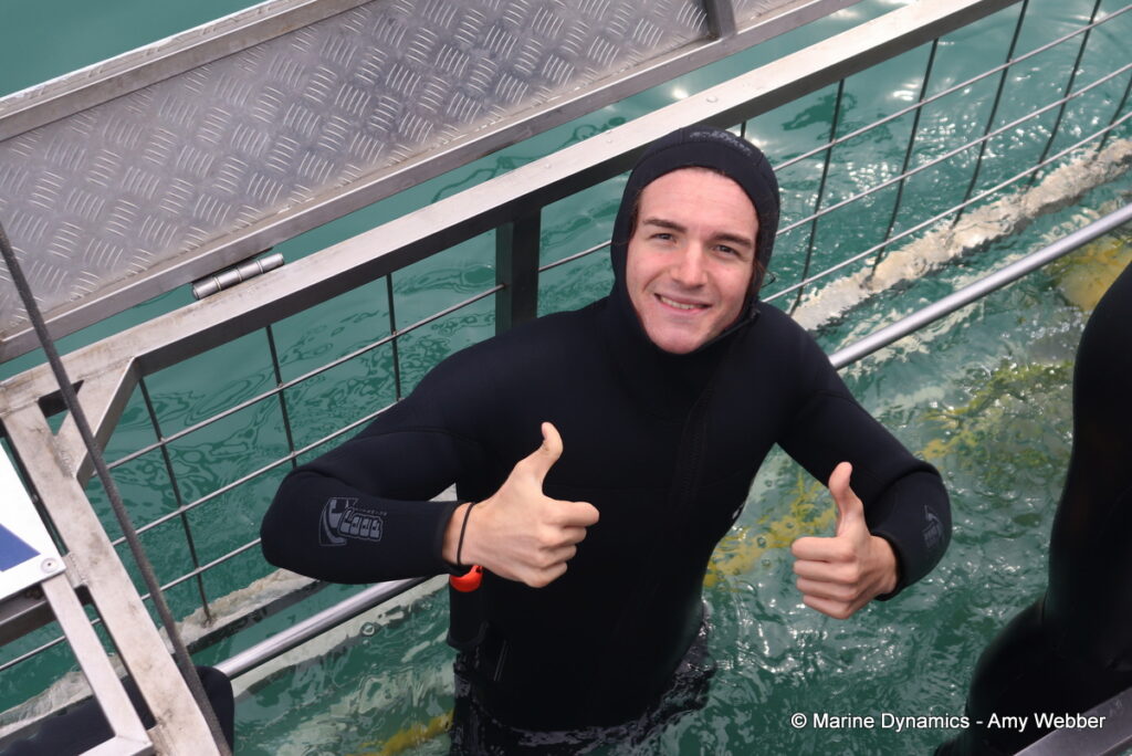 Shark cage diving, Gansbaai, South Africa