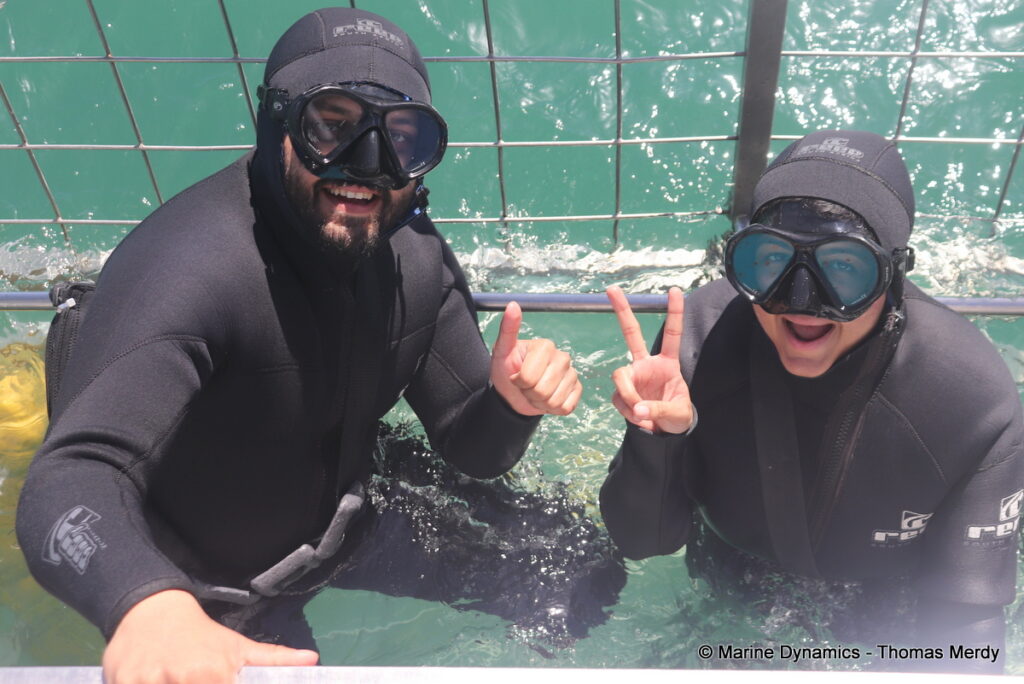 Shark cage diving, South Africa, Gansbaai
