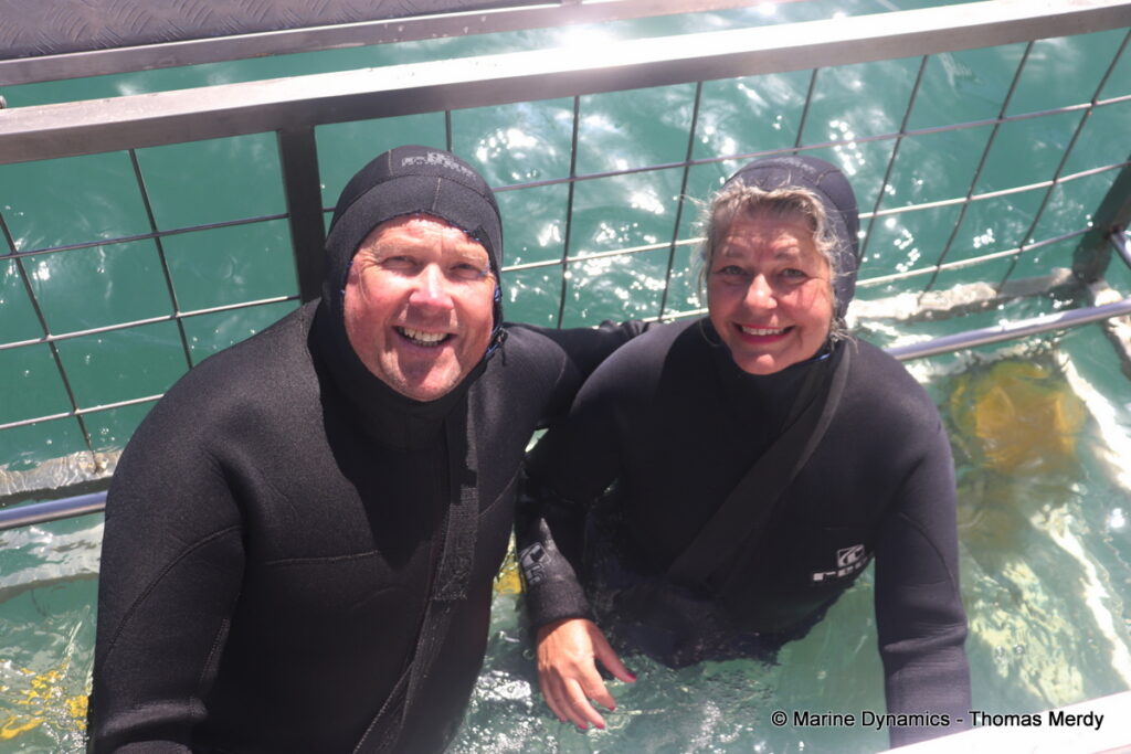 Shark cage diving, South Africa, Gansbaai