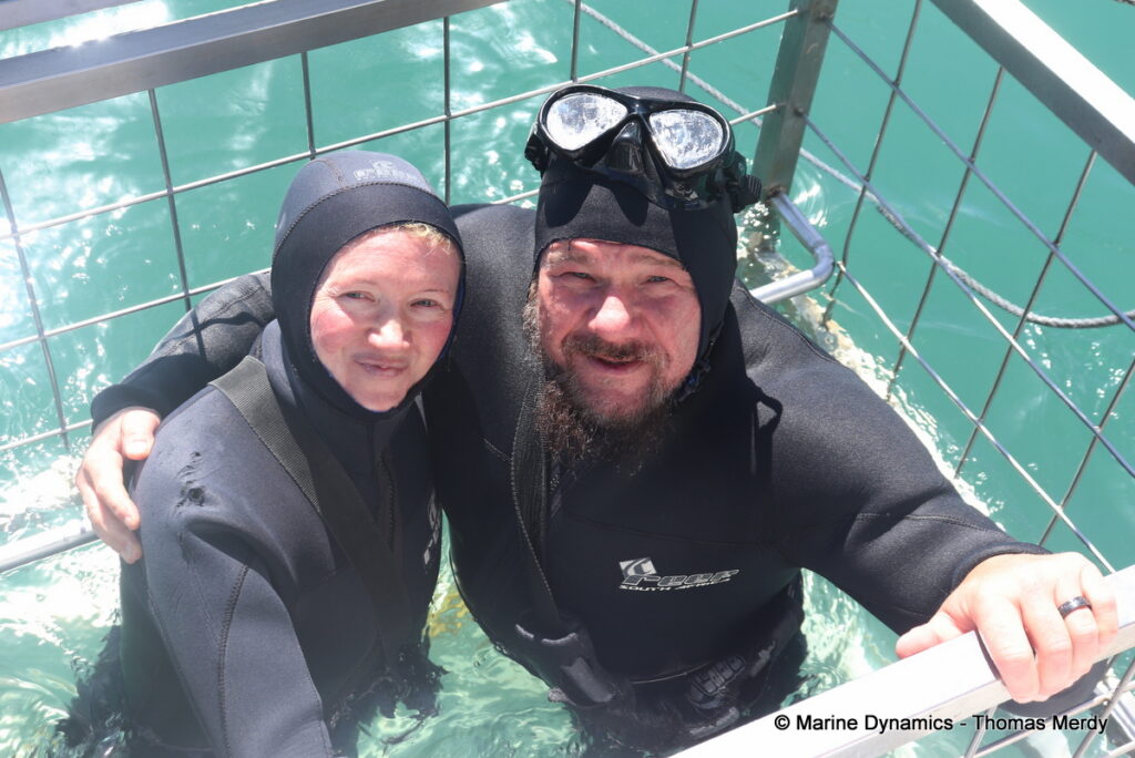 Shark cage diving, South Africa, Gansbaai