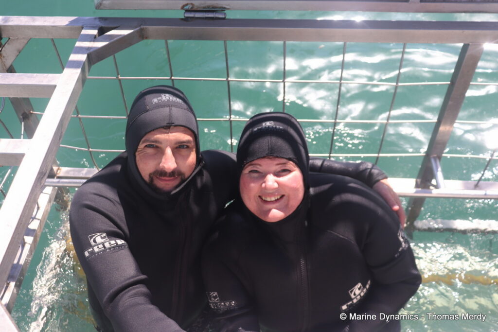 Shark cage diving, South Africa, Gansbaai