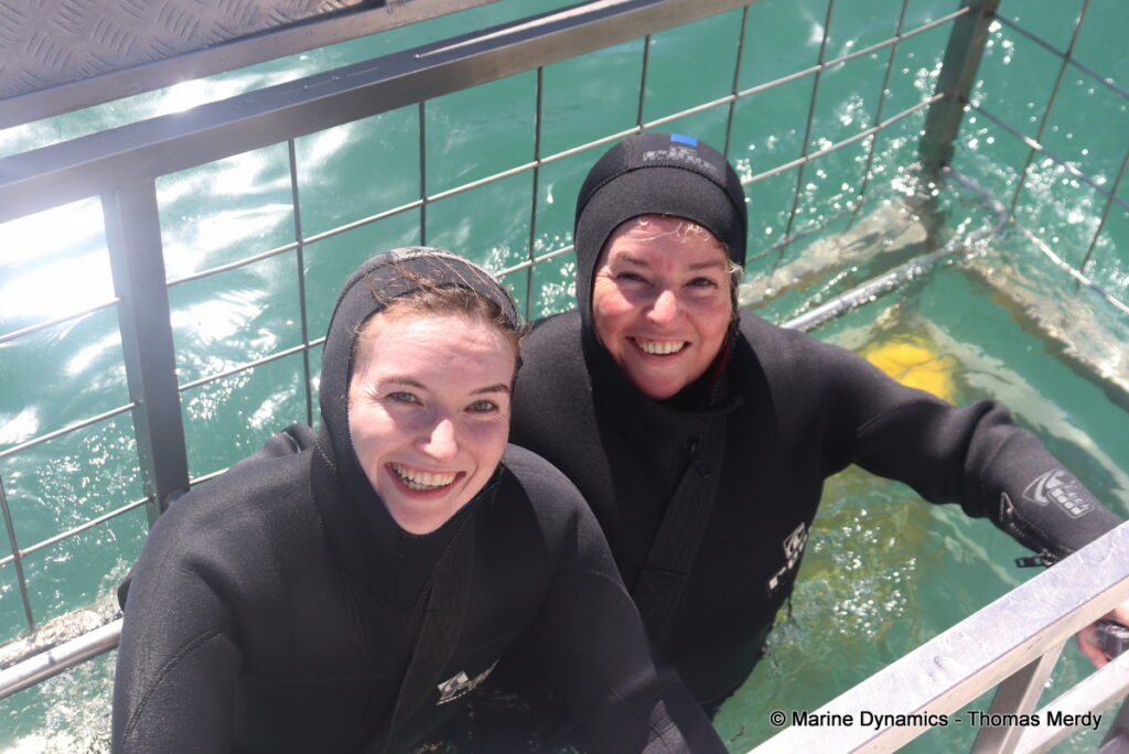 Shark cage diving, South Africa, Gansbaai