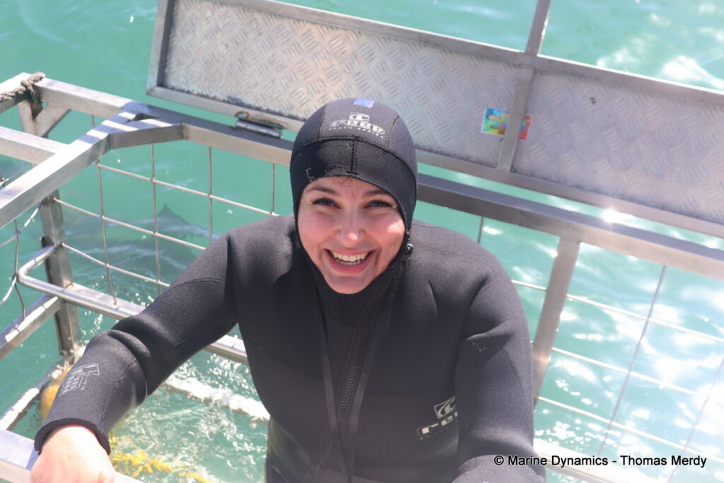 Shark cage diving, South Africa, Gansbaai