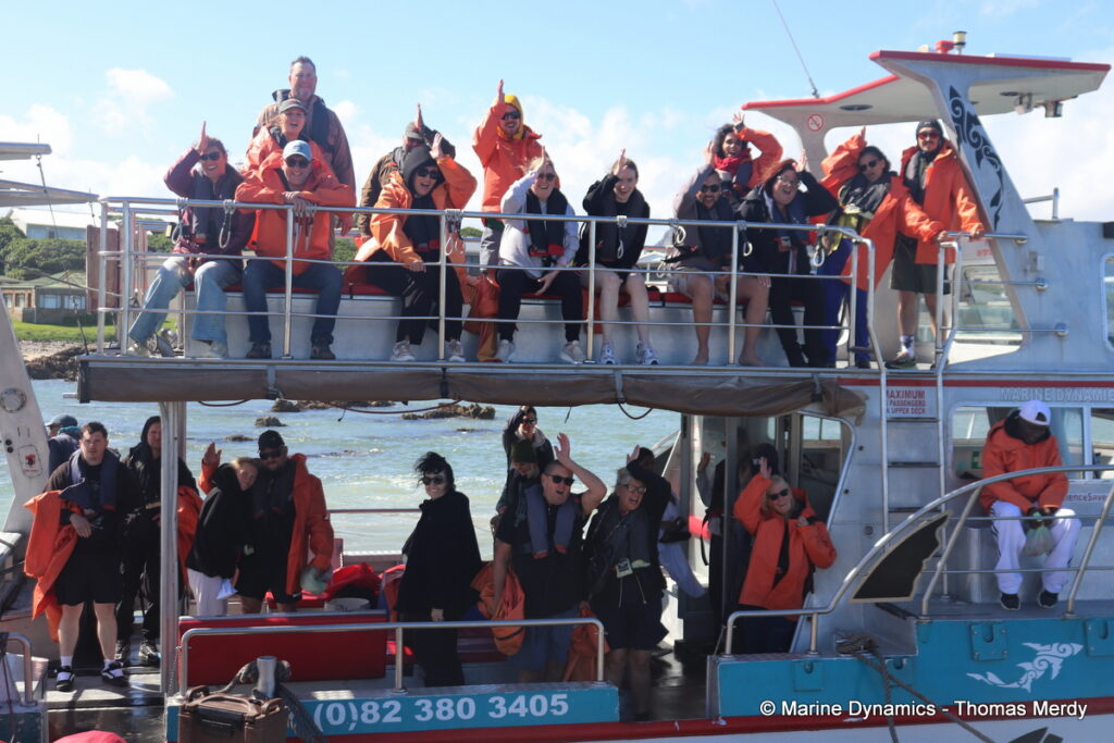 Shark cage diving, South Africa, Gansbaai