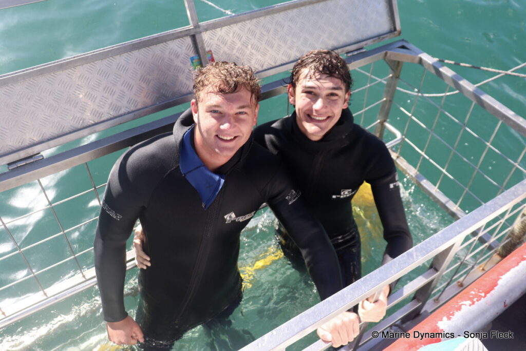 Shark cage diving, Gansbaai, South Africa