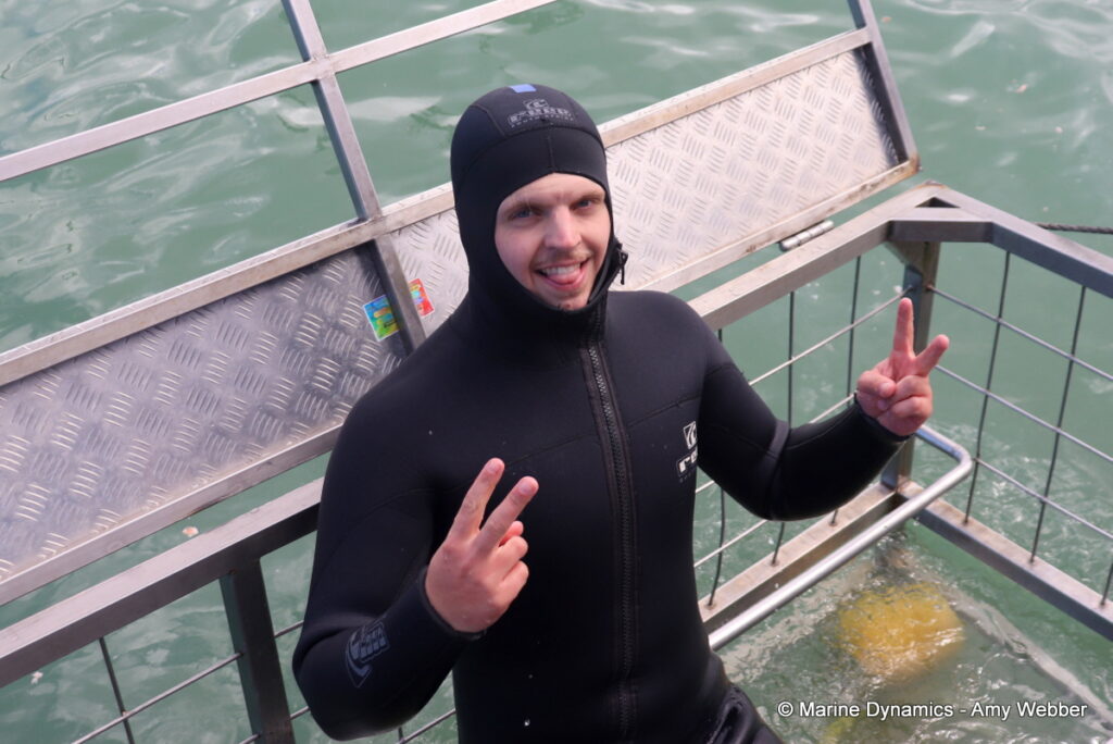 Shark cage diving, Gansbaai, South Africa