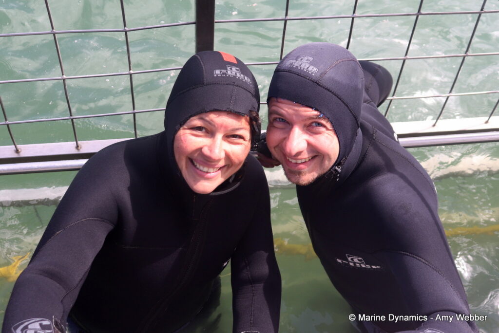 Shark cage diving, Gansbaai, South Africa