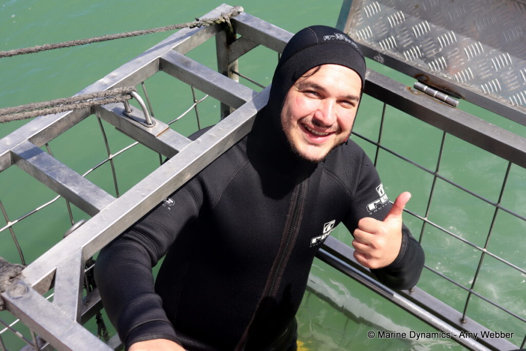 Shark cage diving, Gansbaai, South Africa