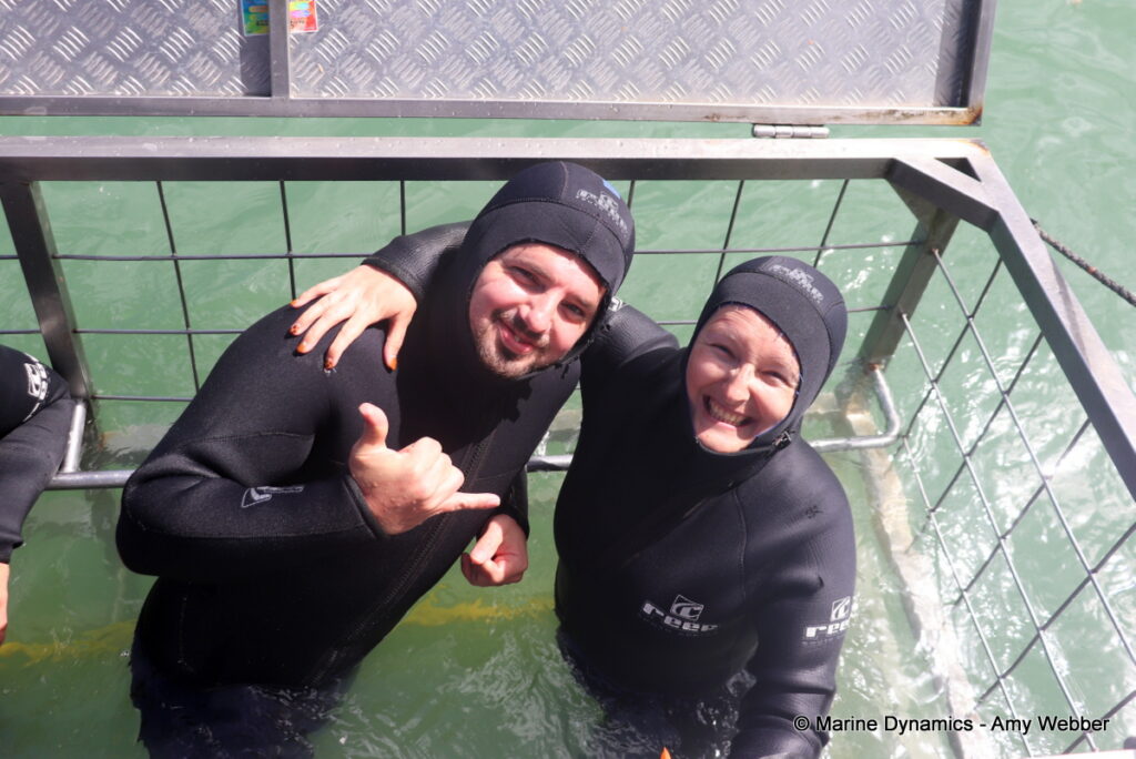 Shark cage diving, Gansbaai, South Africa