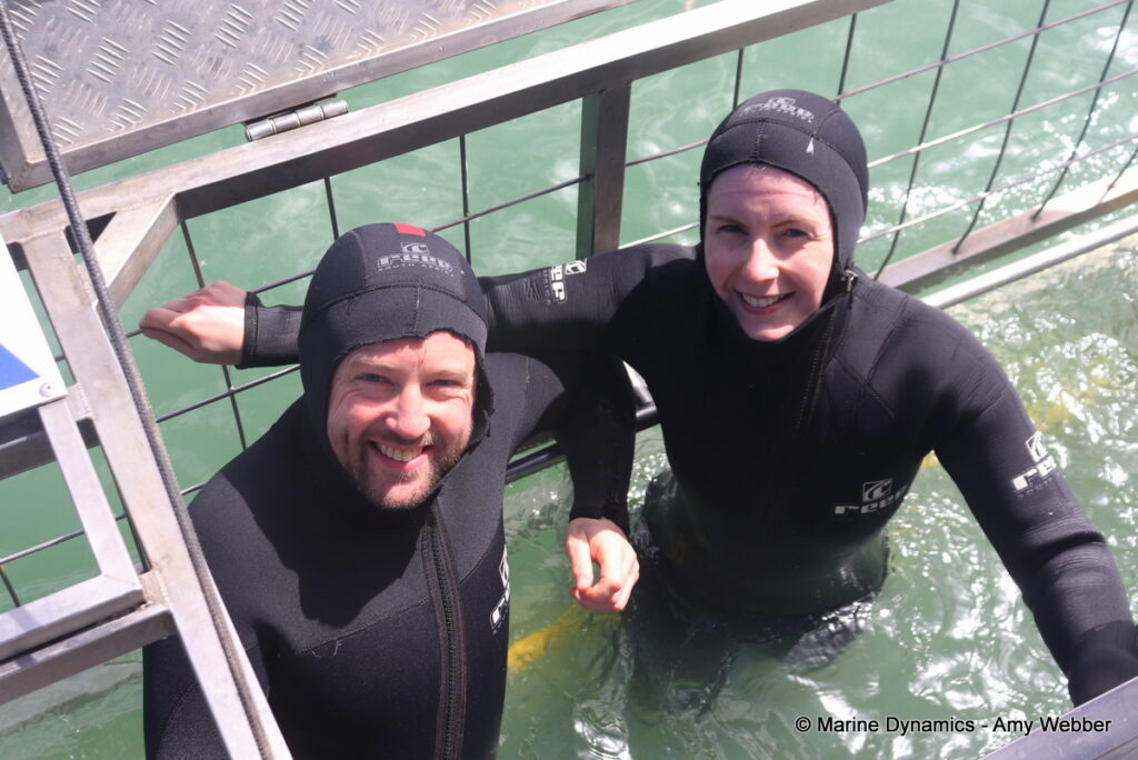 Shark cage diving, Gansbaai, South Africa