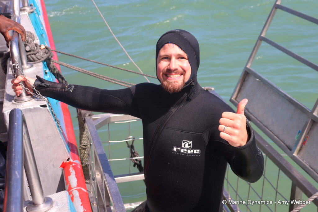 Shark cage diving, Gansbaai, South Africa