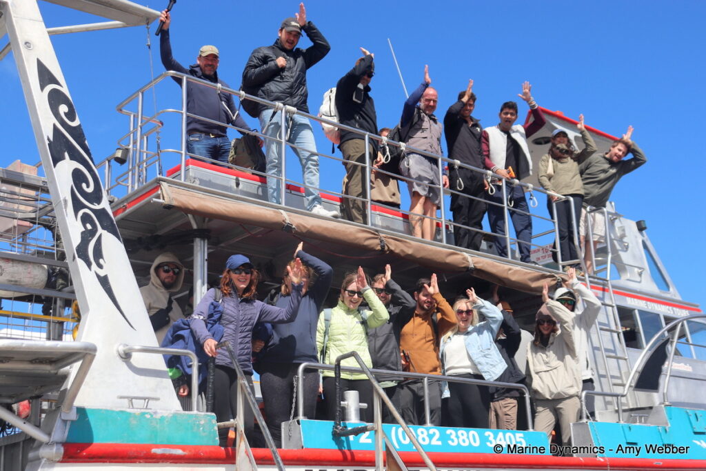 Shark cage diving, Gansbaai, South Africa