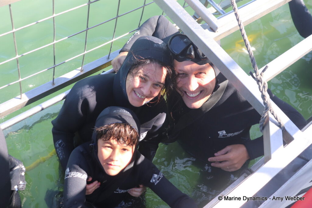 Shark cage diving, Gansbaai, South Africa