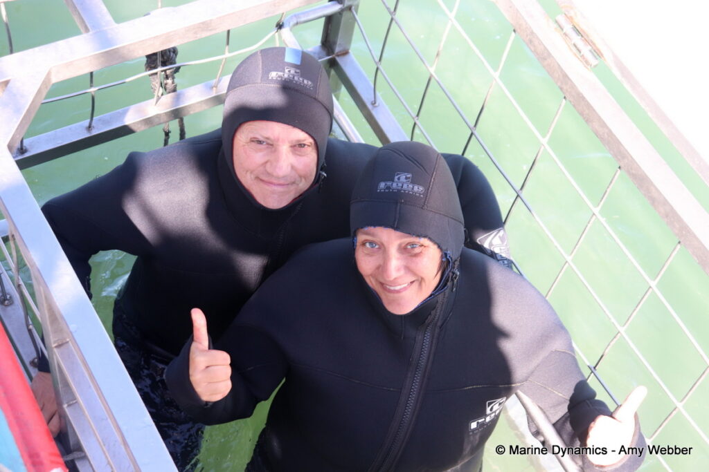 Shark cage diving, Gansbaai, South Africa