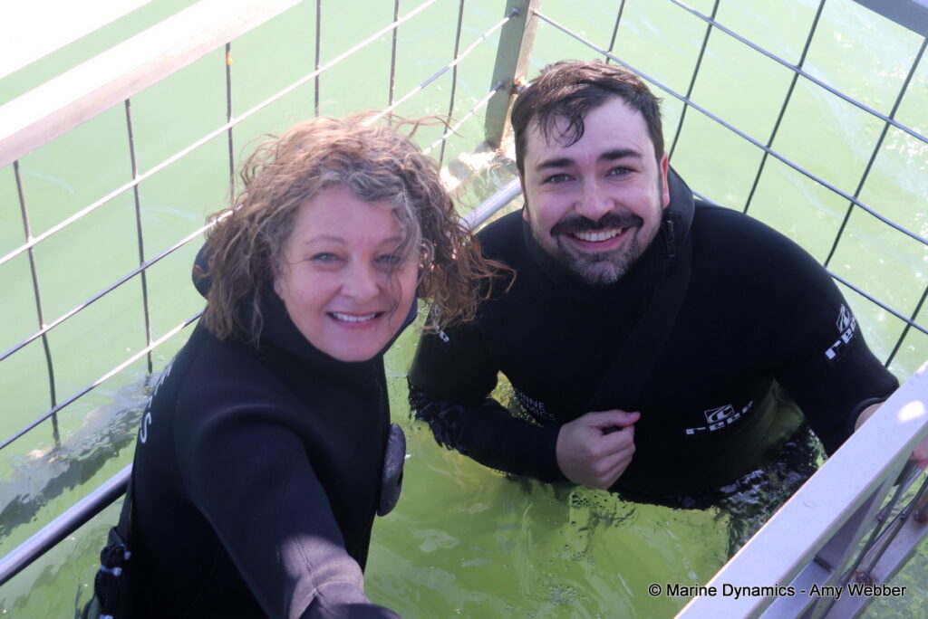 Shark cage diving, Gansbaai, South Africa