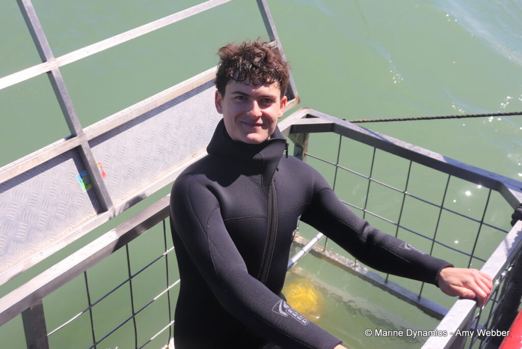 Shark cage diving, Gansbaai, South Africa