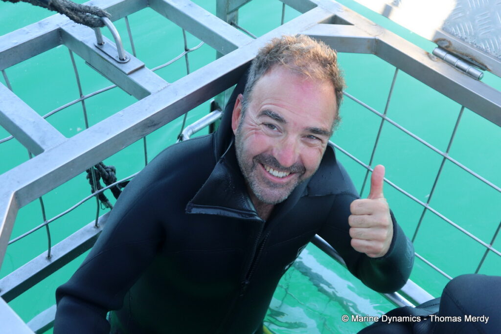 Shark cage diving, Gansbaai, South Africa